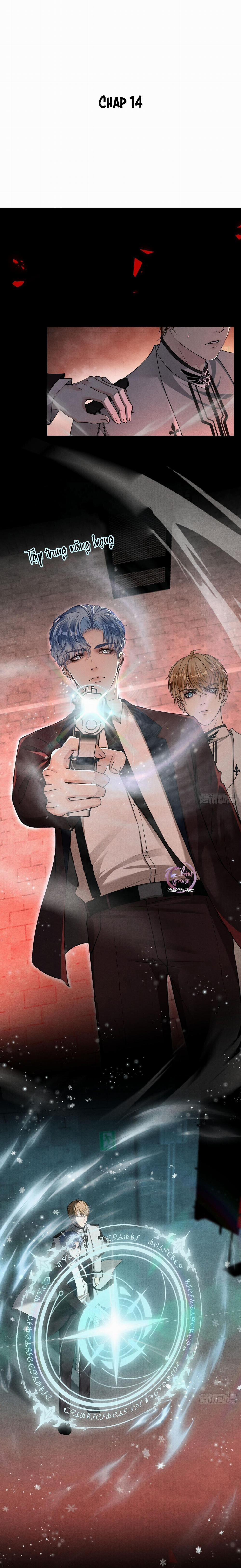 Lông Vũ Ngược Sáng 14 trang 0