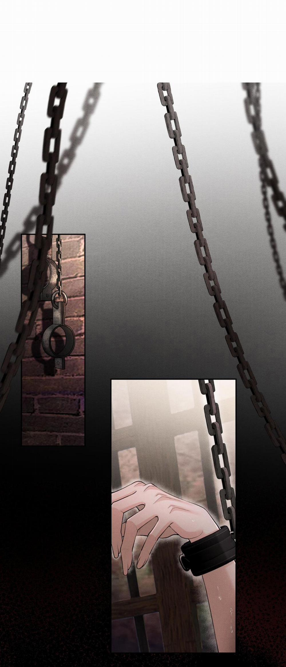 Lông Vũ Ngược Sáng 15 trang 1