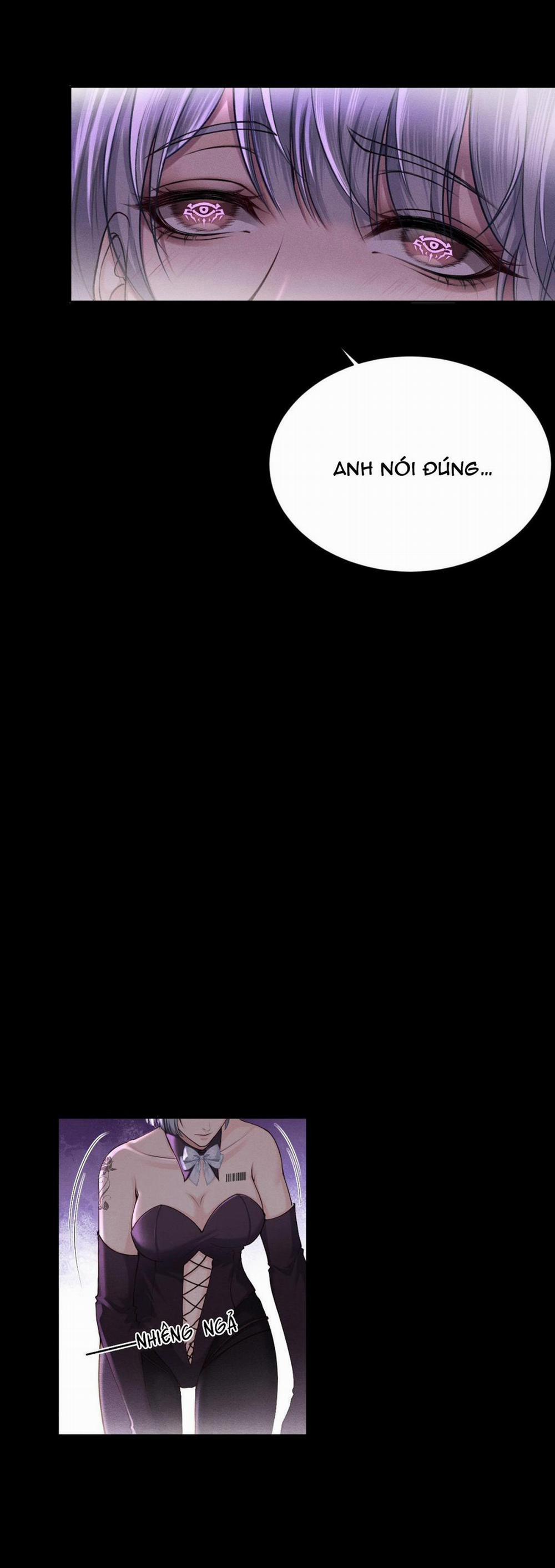 Lông Vũ Ngược Sáng 15 trang 11