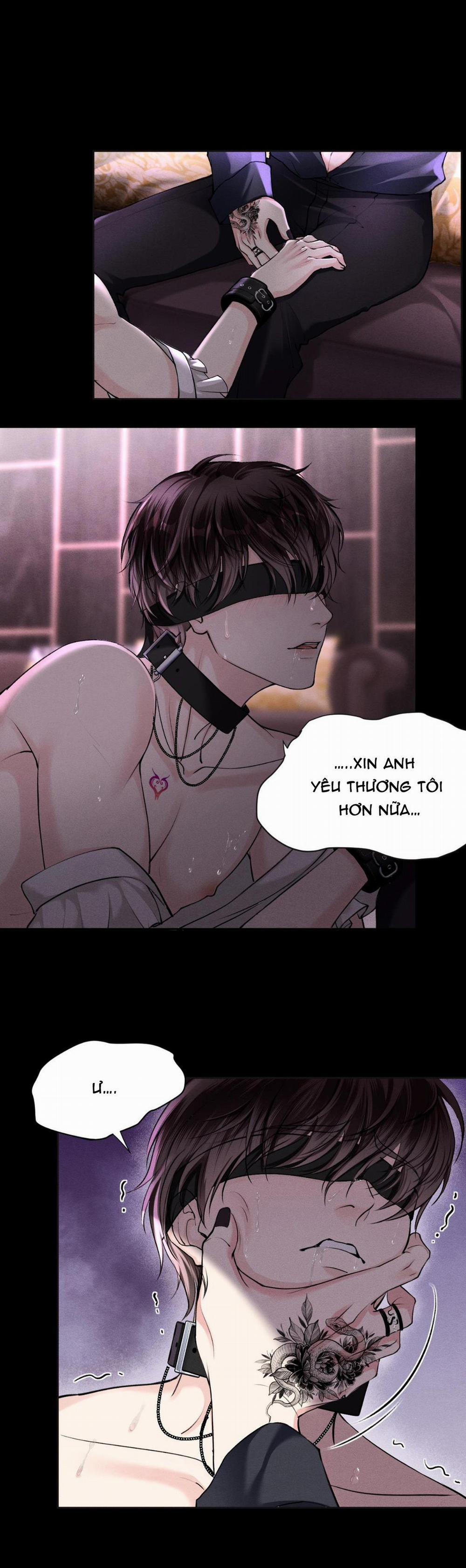 Lông Vũ Ngược Sáng 15 trang 13