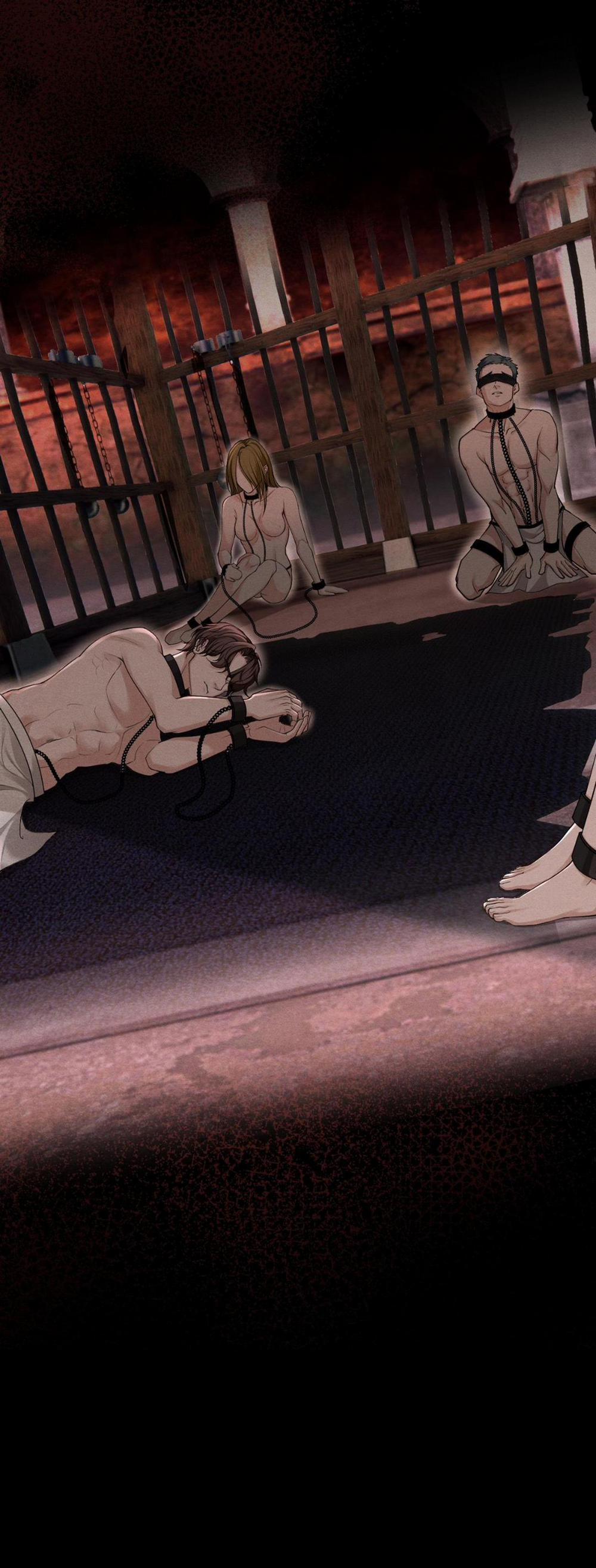 Lông Vũ Ngược Sáng 15 trang 3