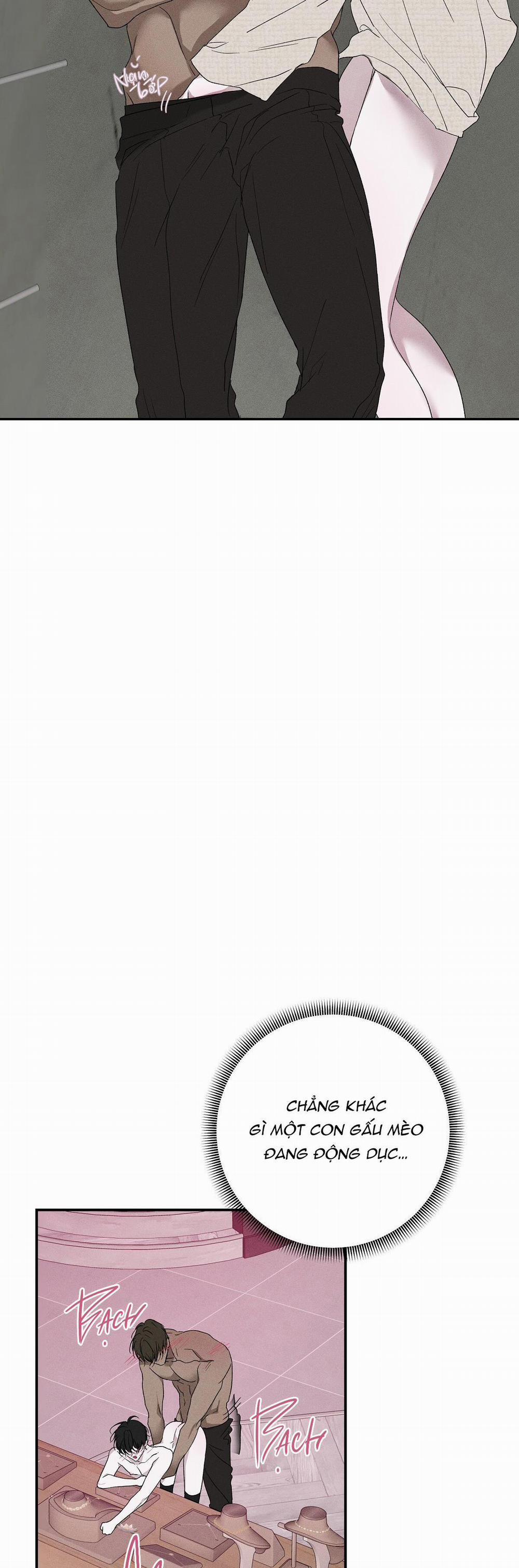 Love And Roll 5 trang 47