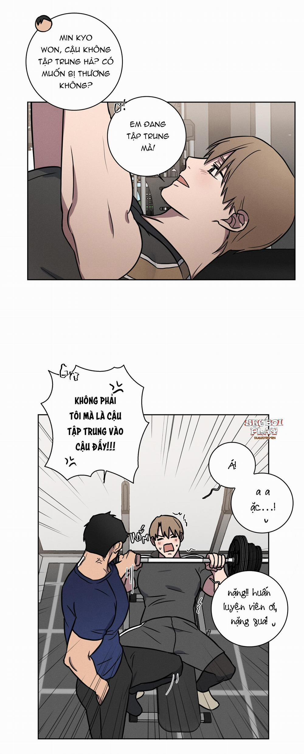 Love Gym 11 trang 24