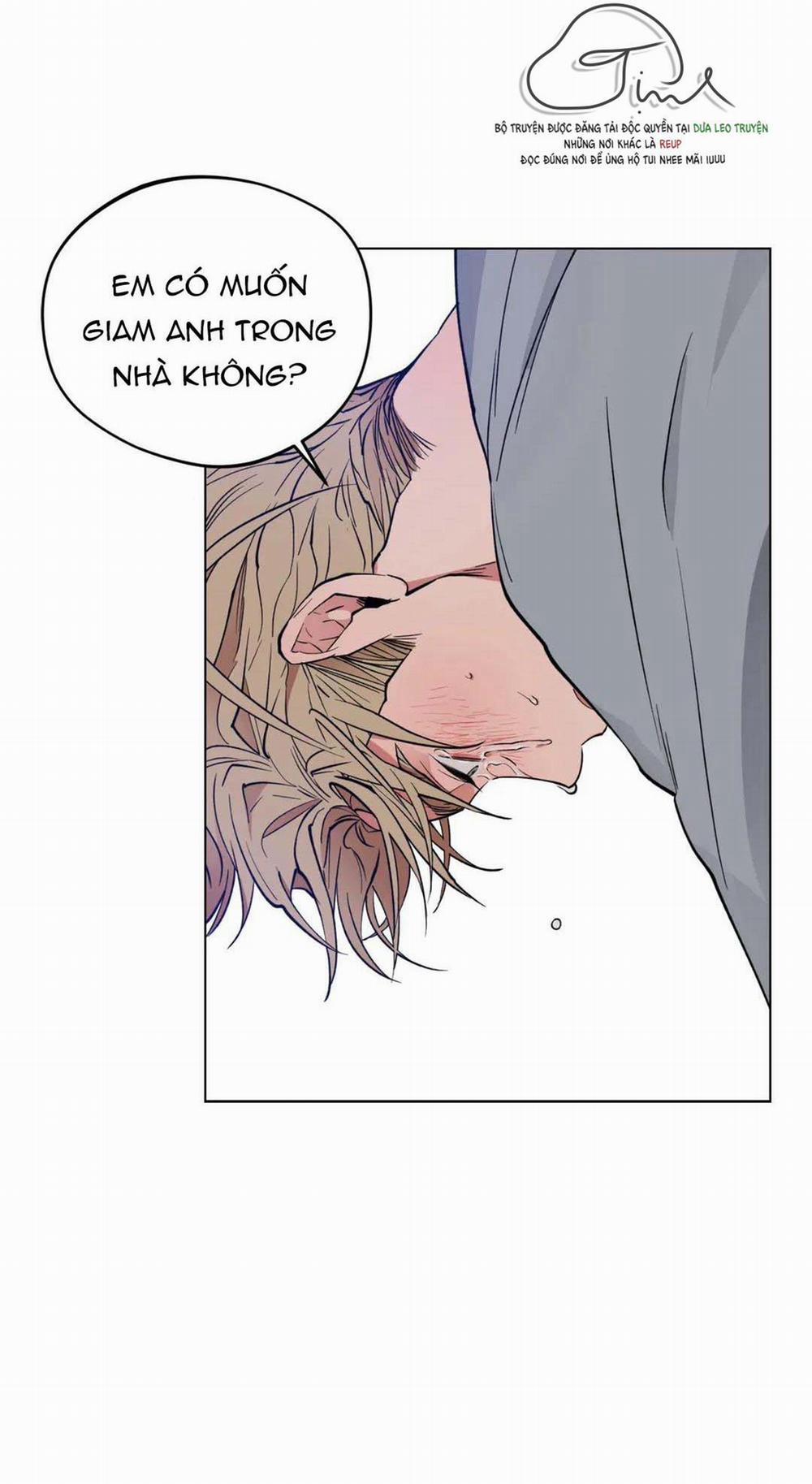 Love Plan 12 trang 64