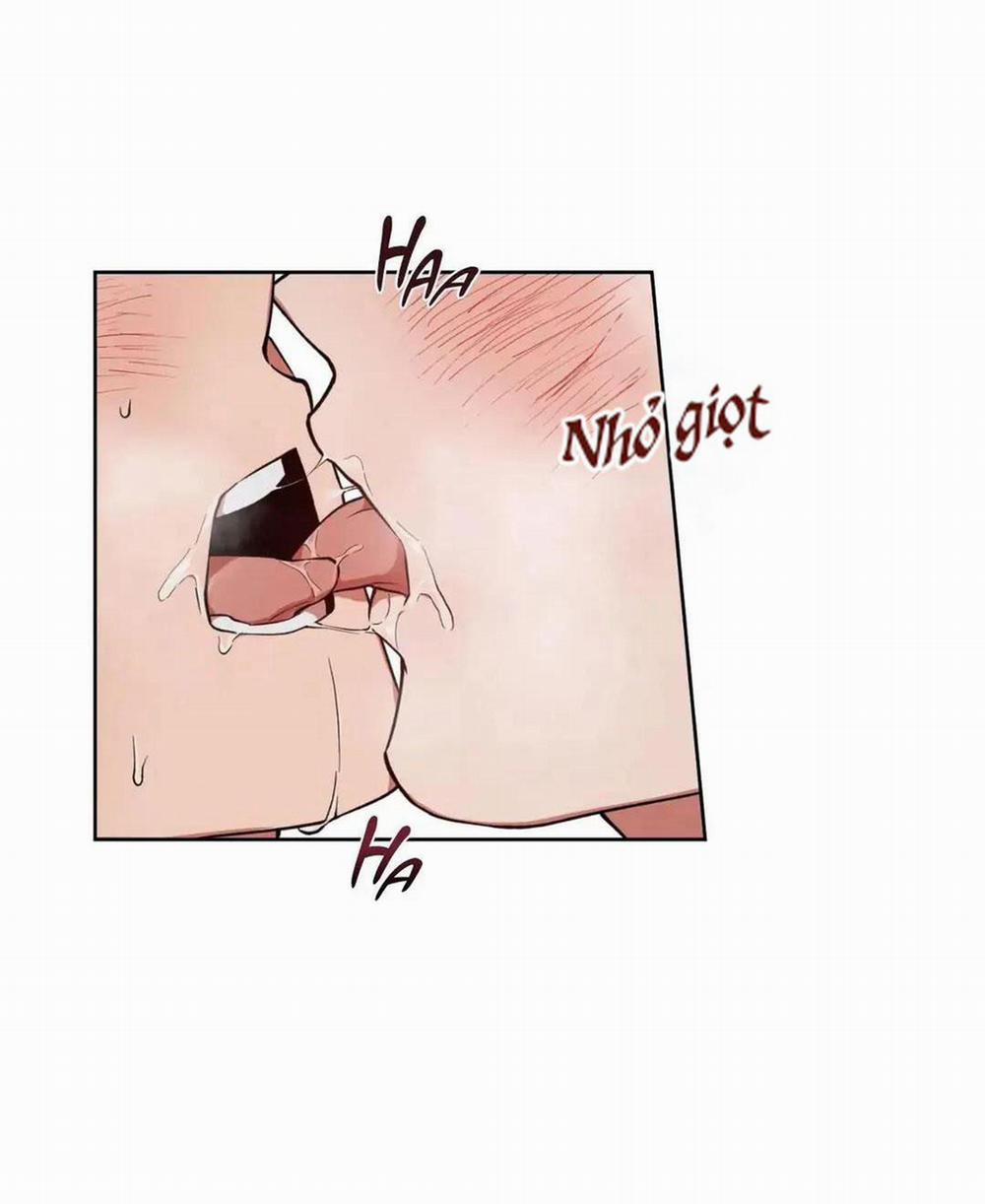 Love Plan 6 trang 37