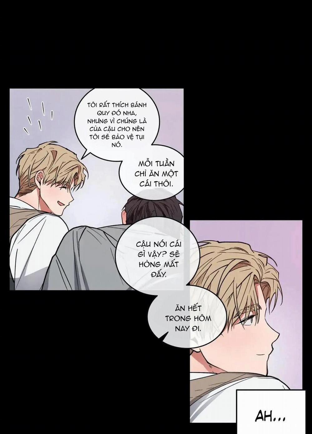 Love Plan 8 trang 41