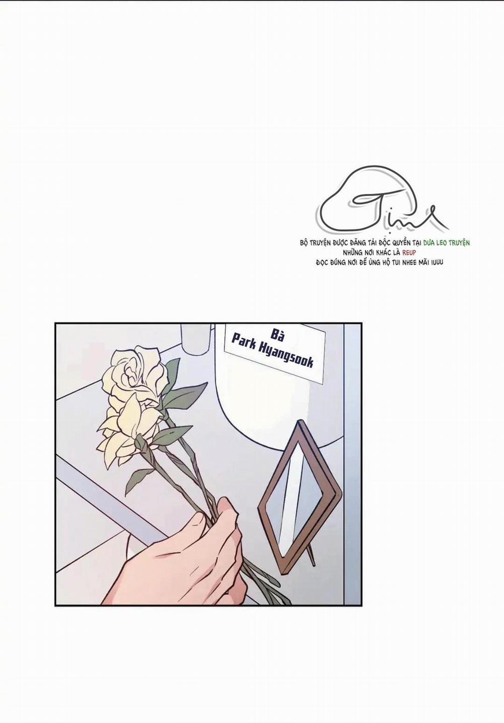 Love Plan 9 trang 47