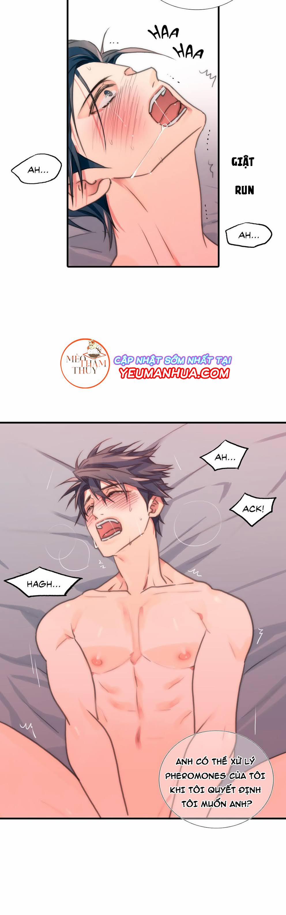 Love Shuttle 11 trang 12