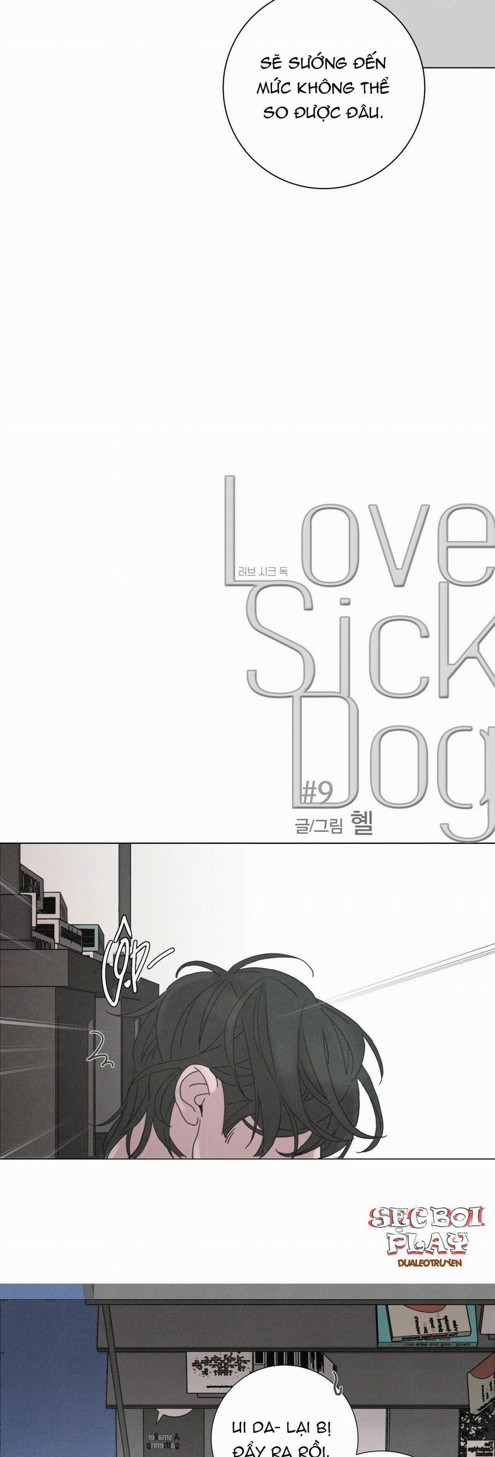 LOVE SICK DOG 9 trang 6