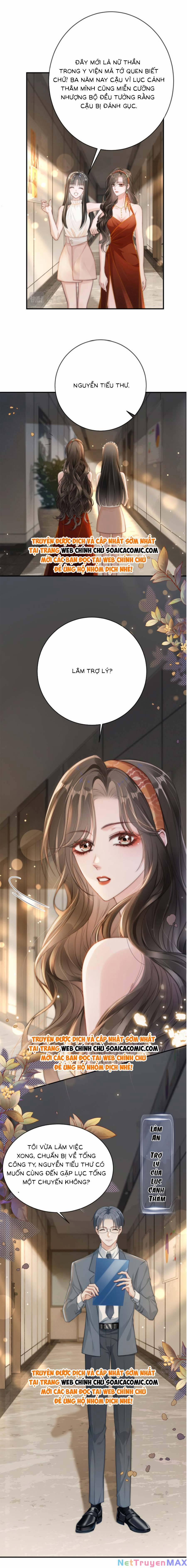 Lục Tổng Theo Đuổi Vợ Hậu Chia Tay 2 trang 7