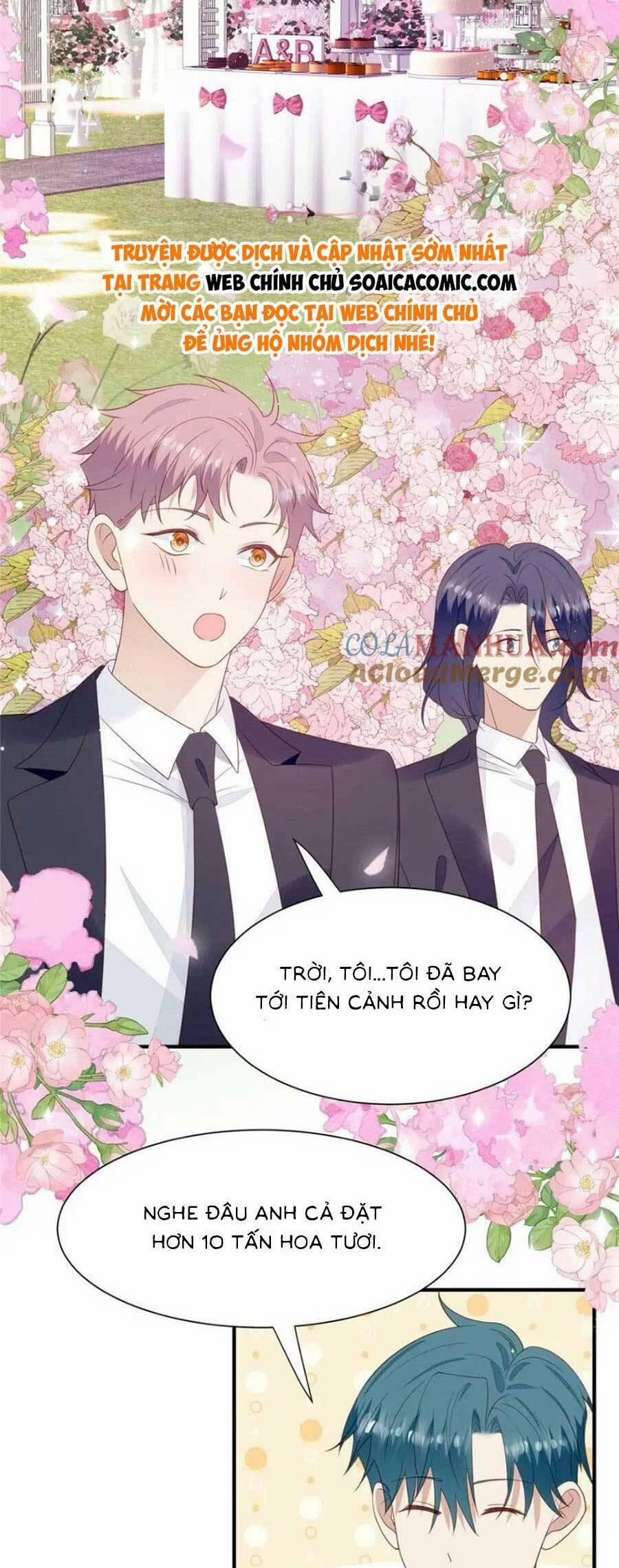 Lưng Dựa Núi Lớn Đứng Vững C Vị 203 trang 1