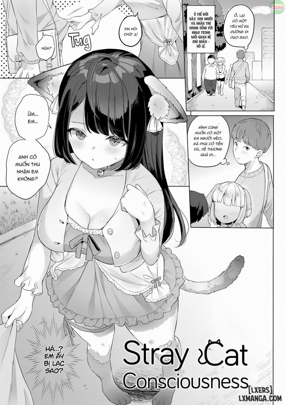 Luscious Lusty Ladies 2 trang 3