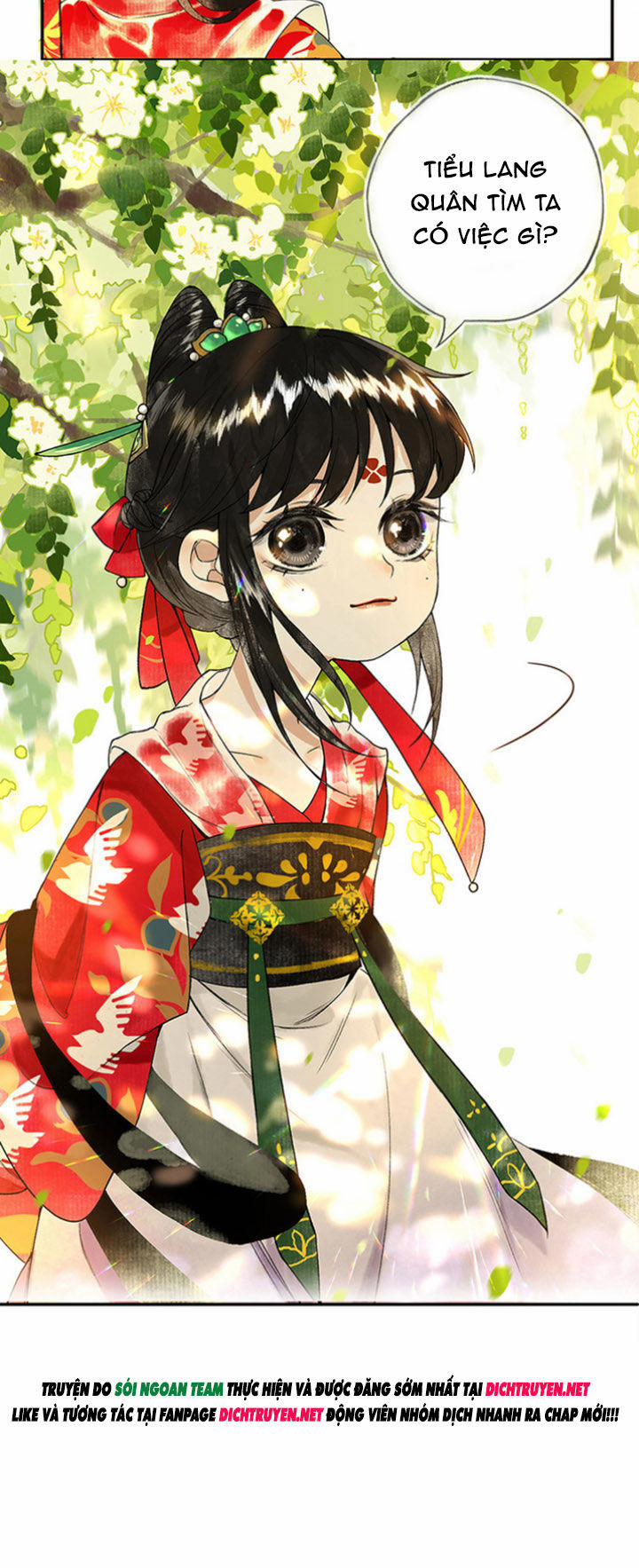 Lưu Hoa Bất Cập Xuân 3 trang 11