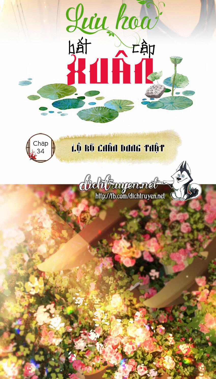 Lưu Hoa Bất Cập Xuân 34 trang 1