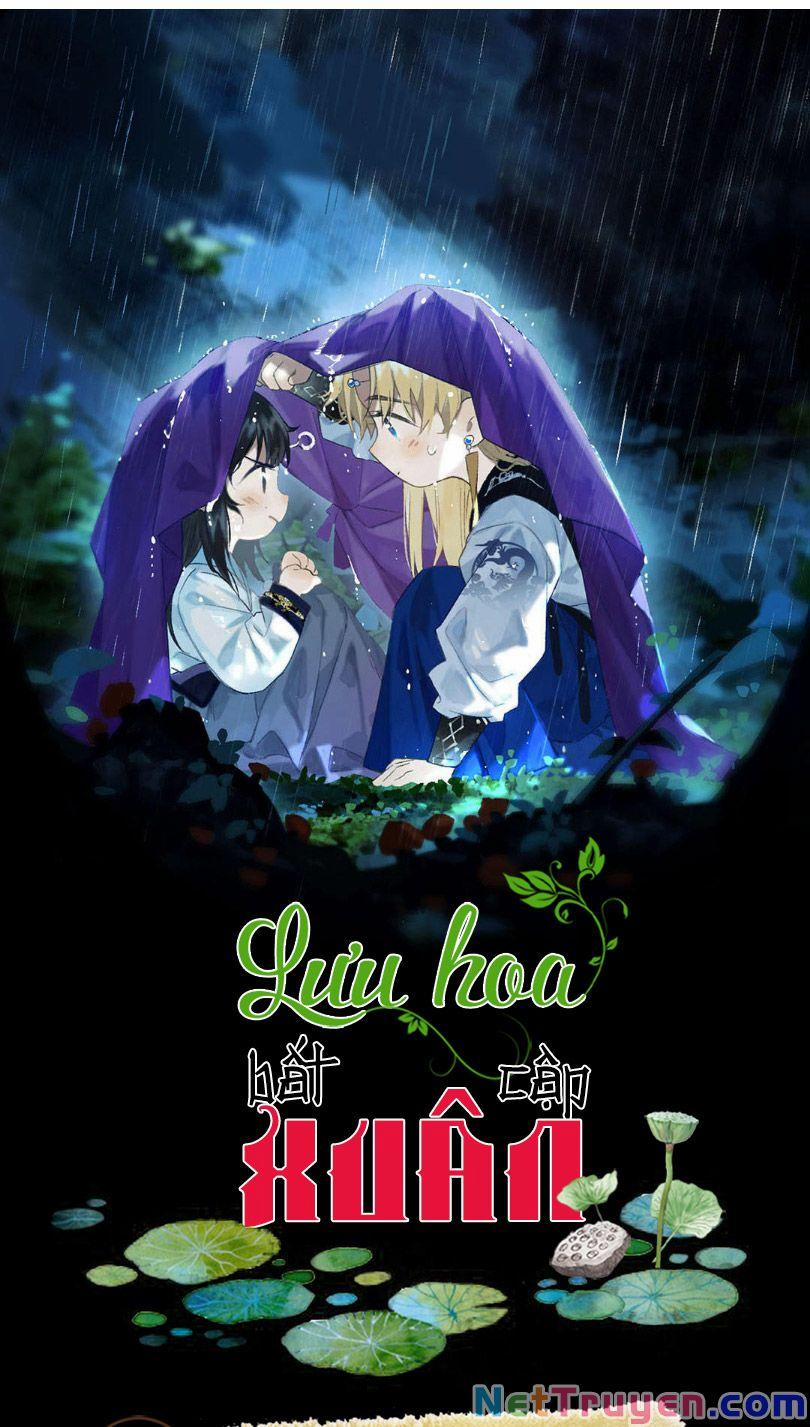 Lưu Hoa Bất Cập Xuân 39 trang 0