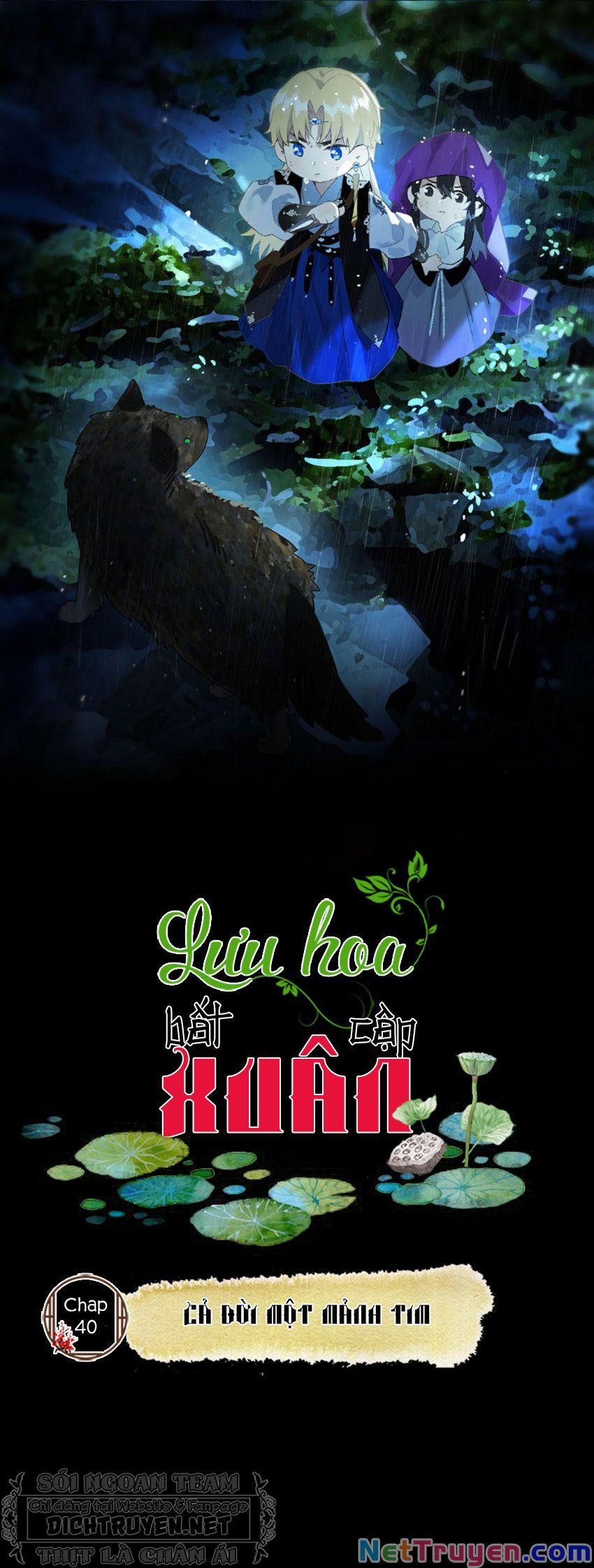 Lưu Hoa Bất Cập Xuân 40 trang 0