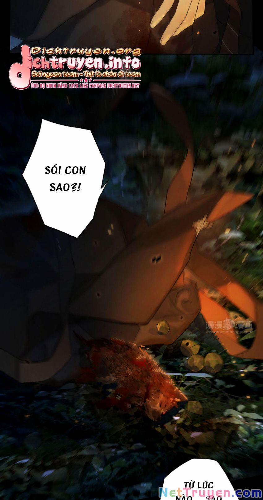 Lưu Hoa Bất Cập Xuân 41 trang 20