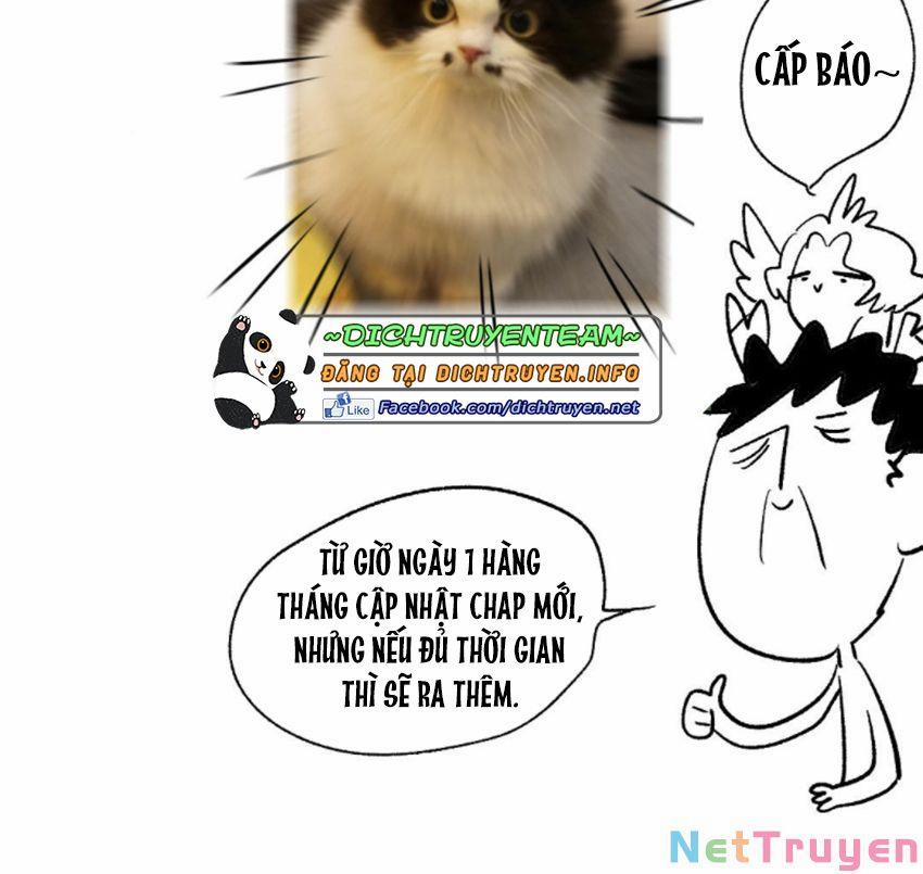 Lưu Hoa Bất Cập Xuân 46 trang 31