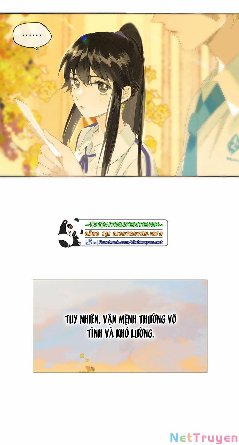 Lưu Hoa Bất Cập Xuân 47.5 trang 10