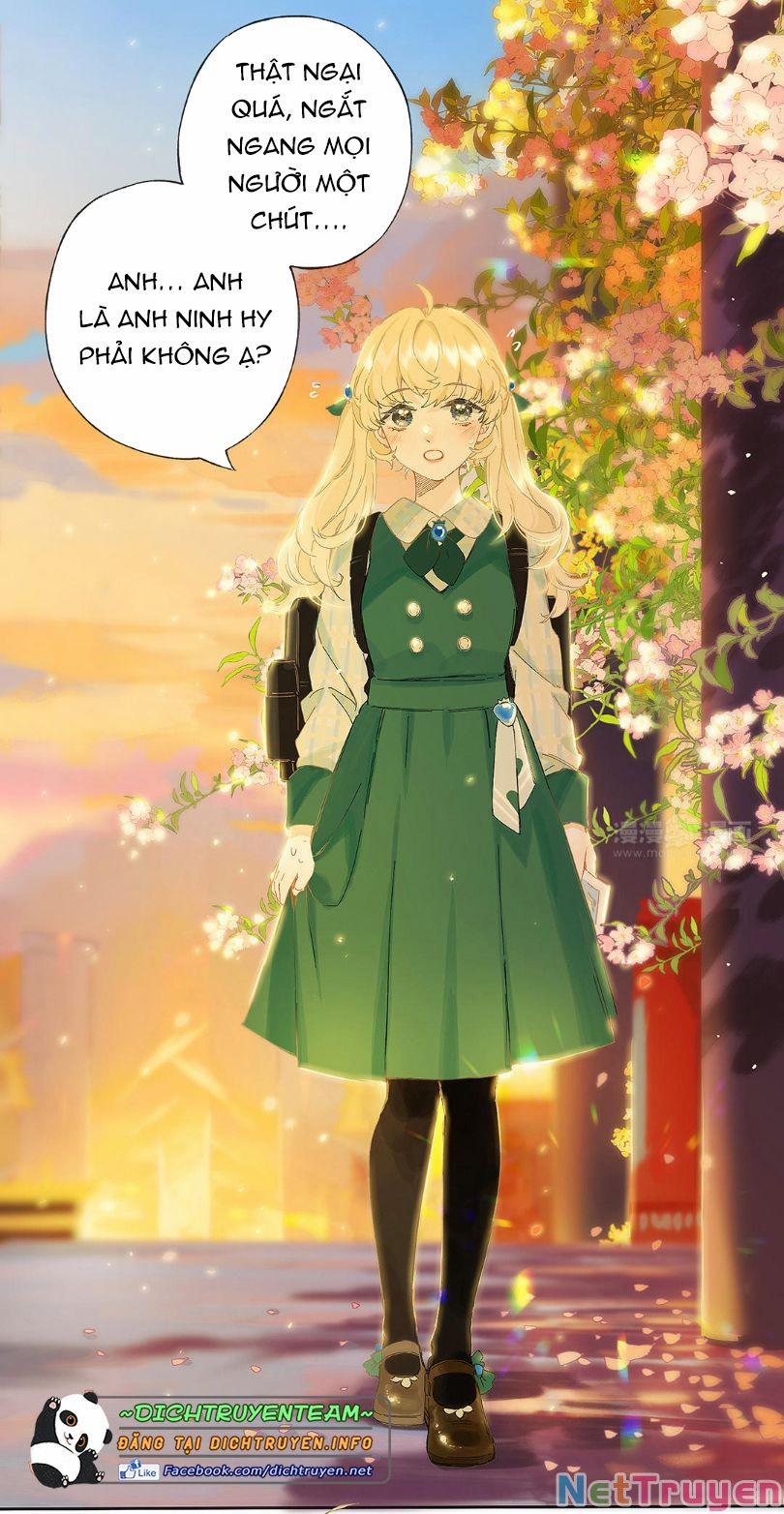 Lưu Hoa Bất Cập Xuân 47.5 trang 6