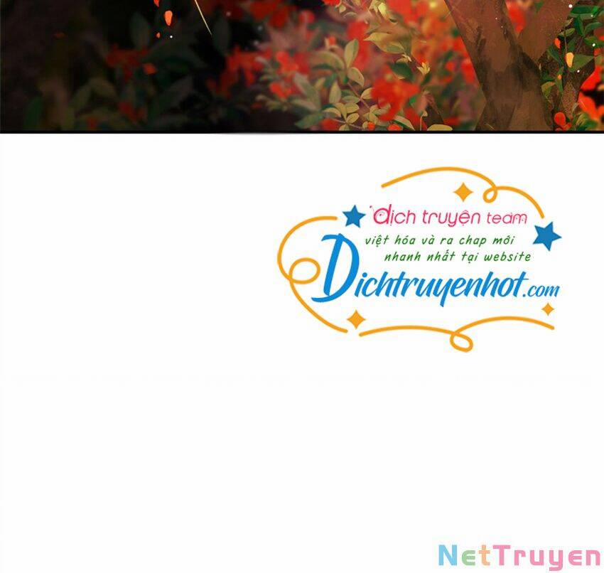 Lưu Hoa Bất Cập Xuân 53 trang 29