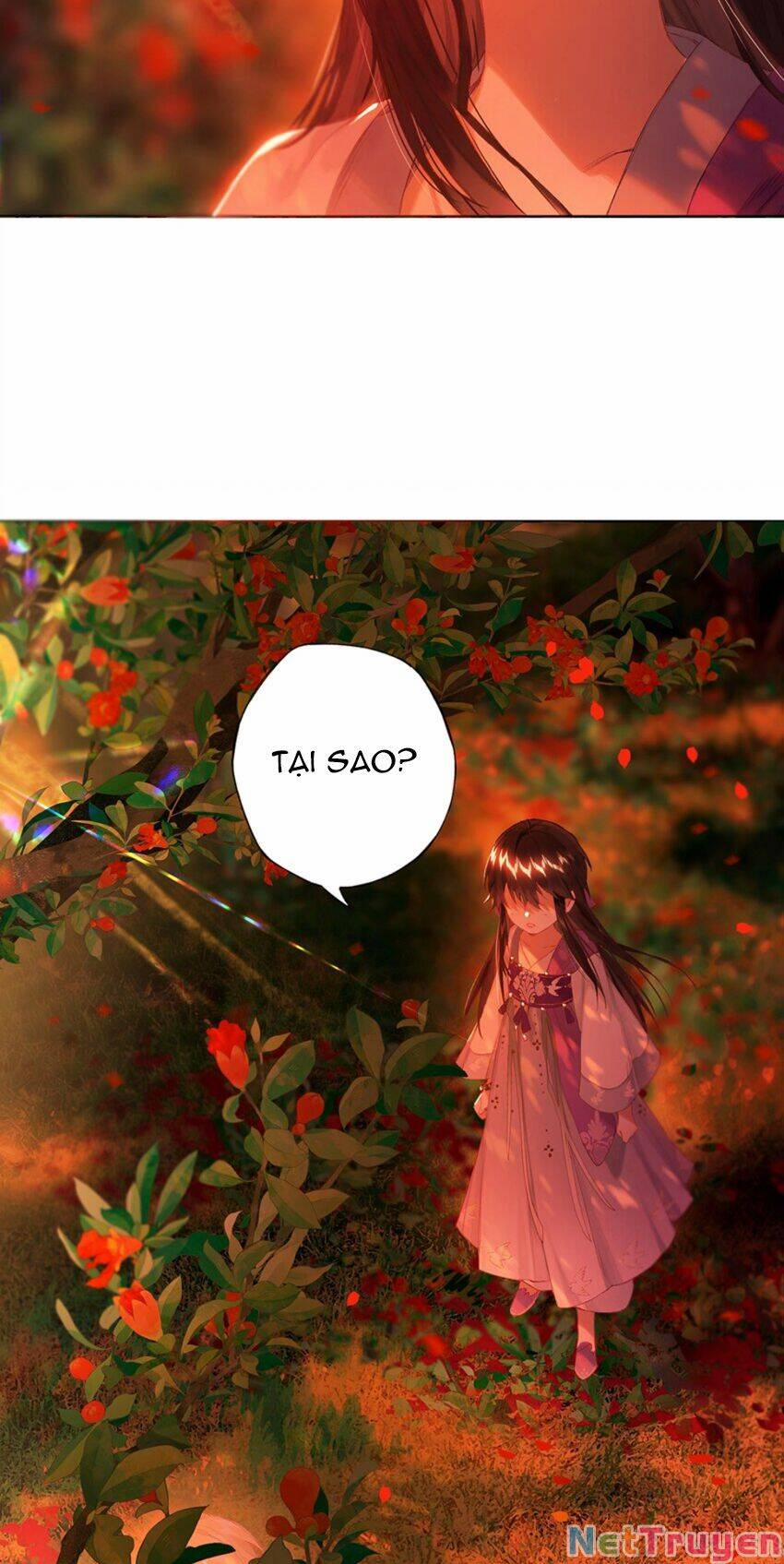 Lưu Hoa Bất Cập Xuân 53 trang 31