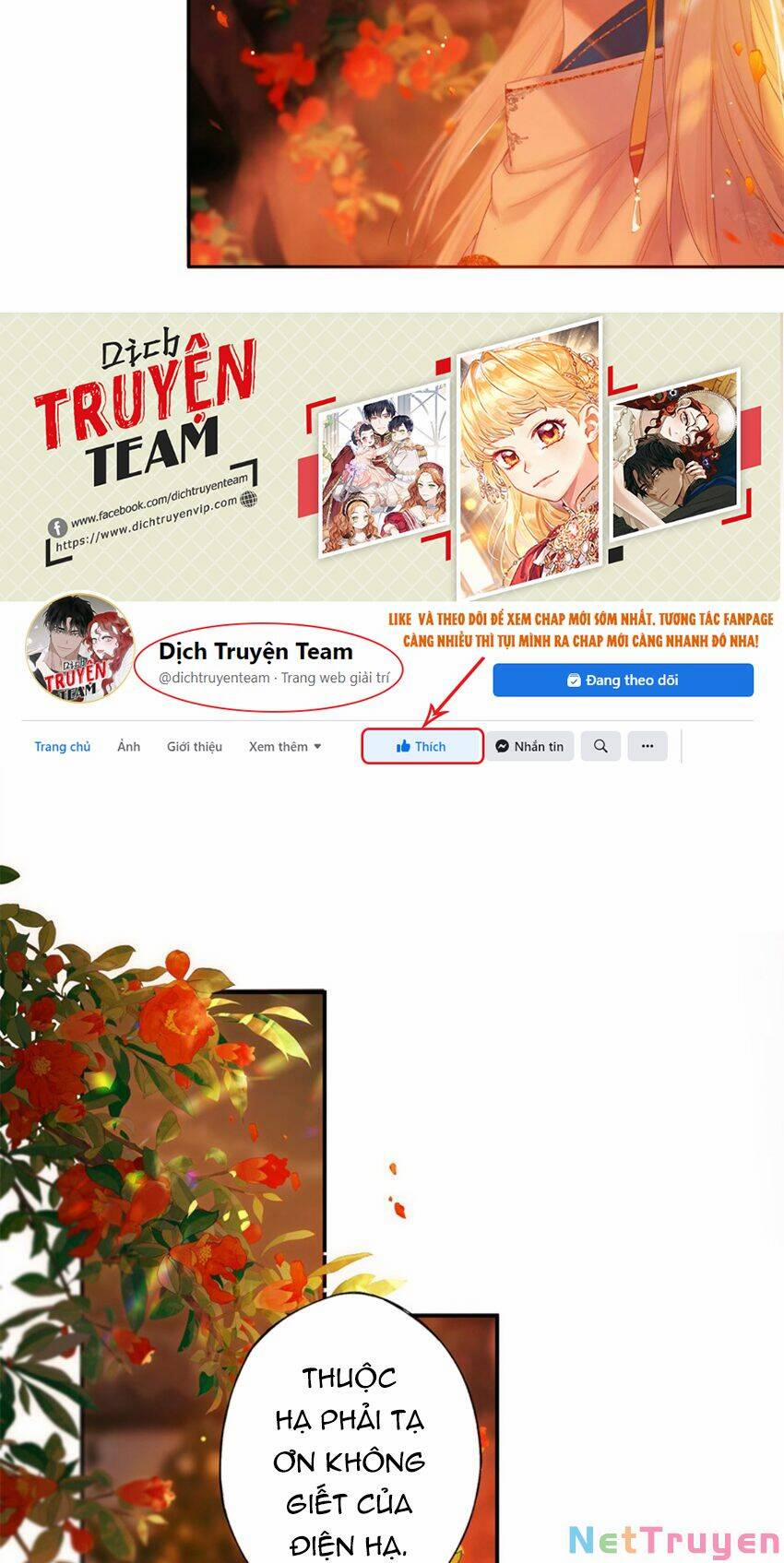 Lưu Hoa Bất Cập Xuân 53 trang 7