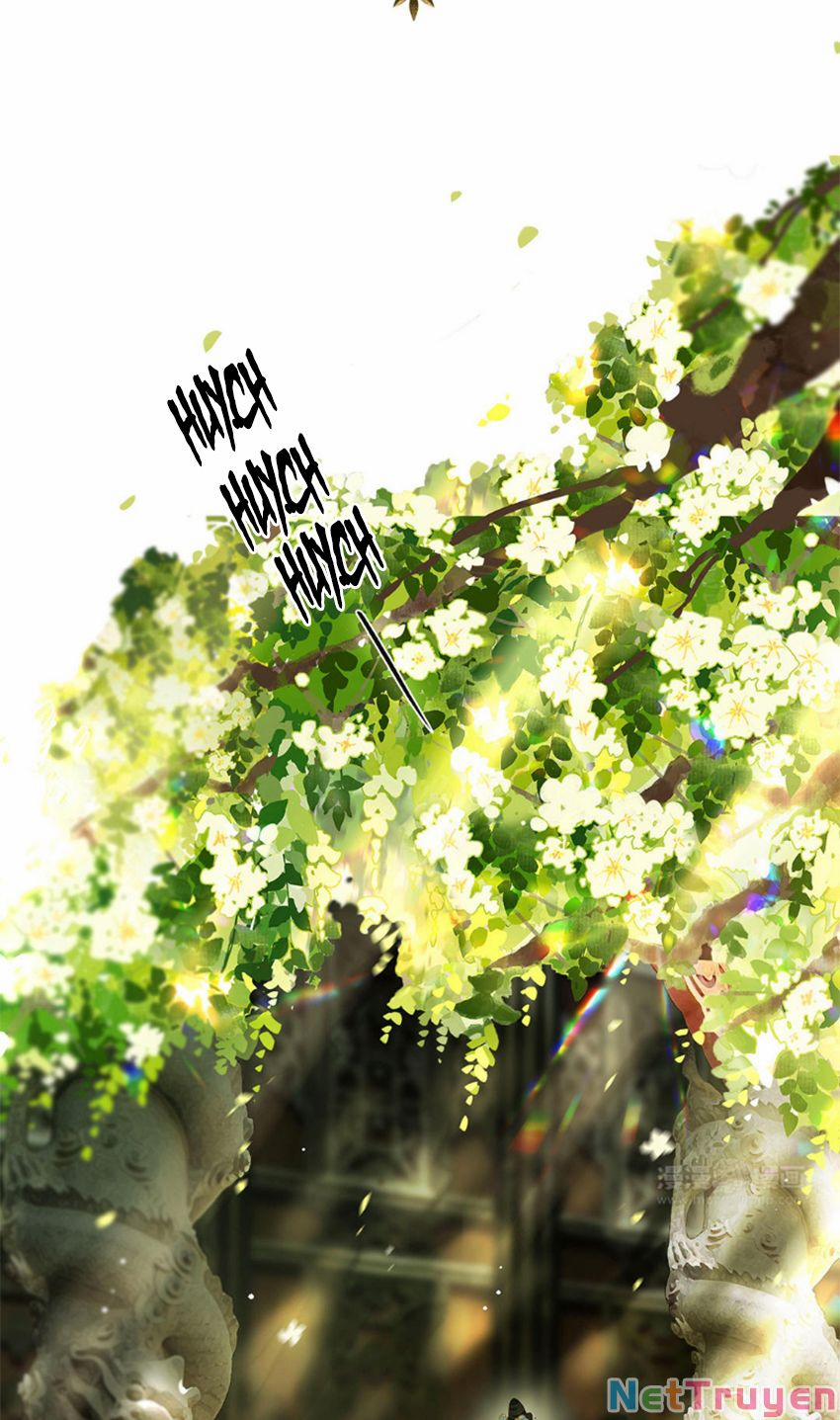 Lưu Hoa Bất Cập Xuân 55 trang 8