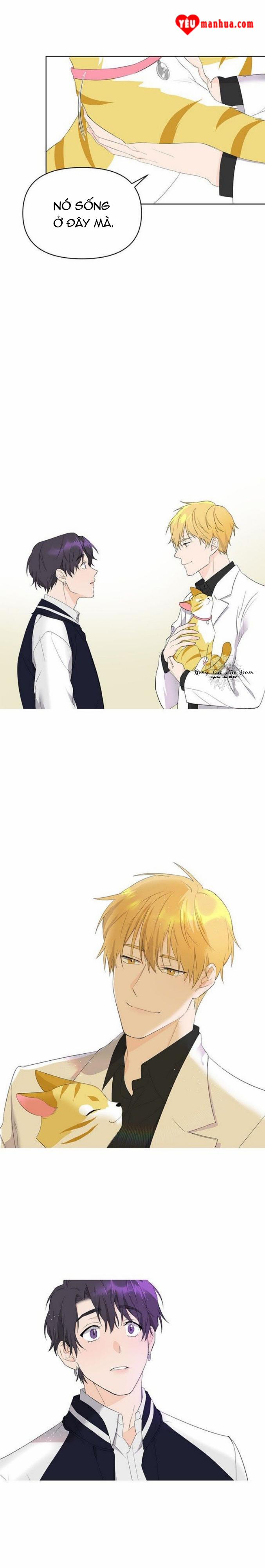 Lưu Ly Hổ 1 trang 15