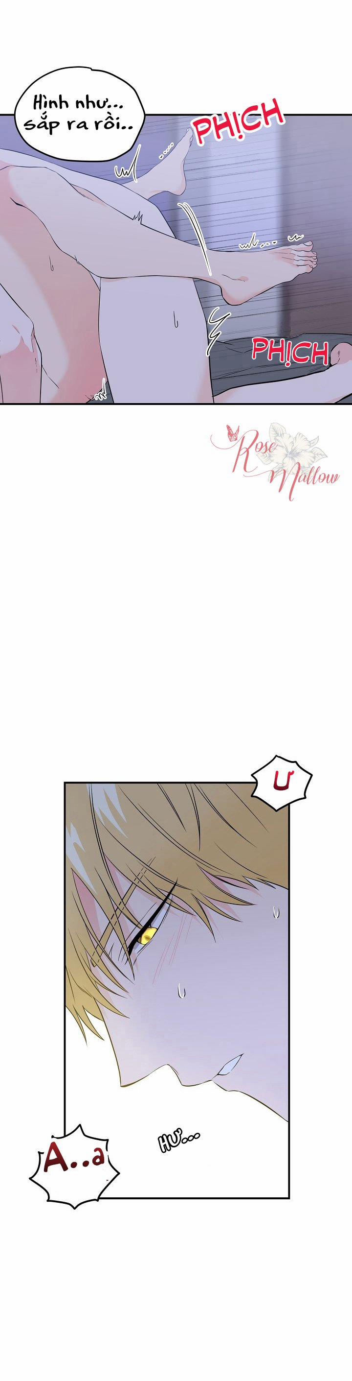 Lưu Ly Hổ 5 trang 21