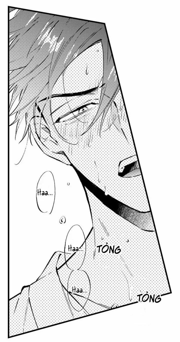 Ly Hôn Đi, Hỡi Ngài Alpha 16 trang 5