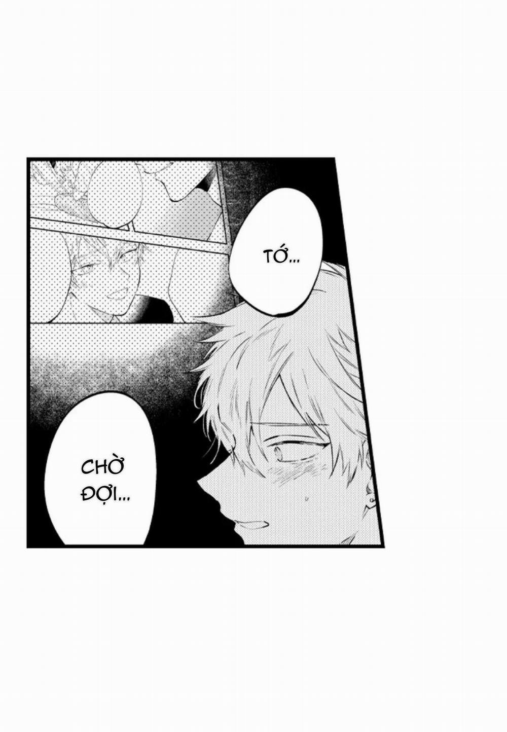 Ly Hôn Đi, Hỡi Ngài Alpha 29 trang 11