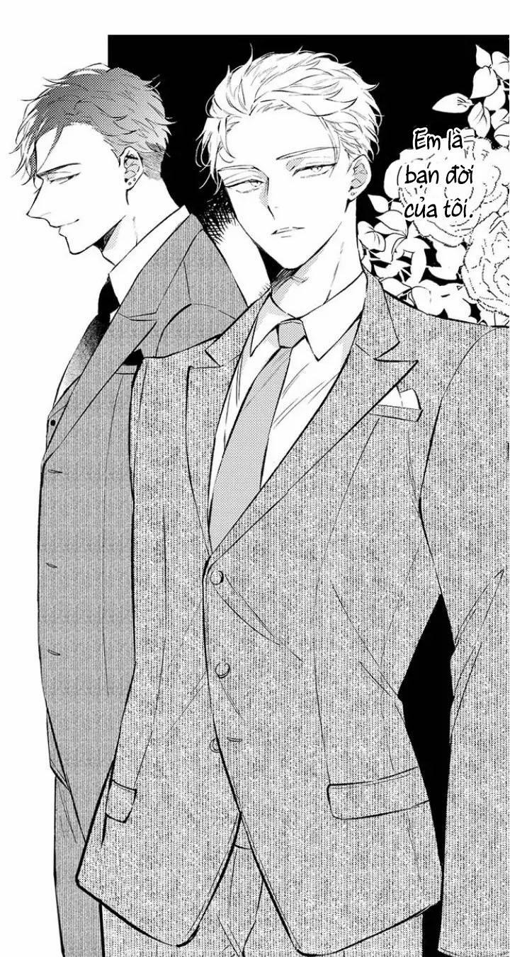 Ly Hôn Đi, Hỡi Ngài Alpha 3 trang 5