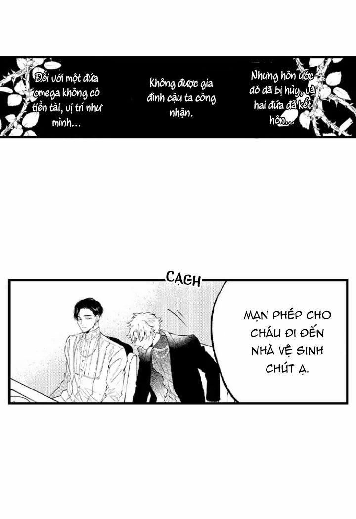 Ly Hôn Đi, Hỡi Ngài Alpha 6 trang 26