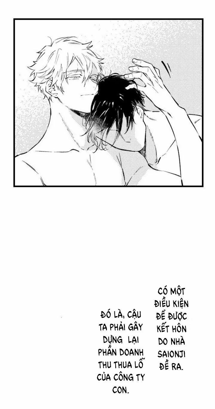 Ly Hôn Đi, Hỡi Ngài Alpha 7 trang 21