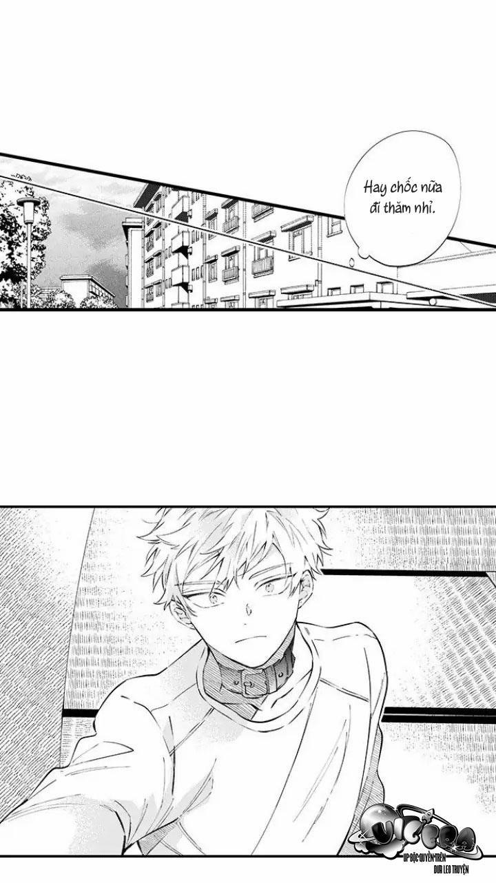 Ly Hôn Đi, Hỡi Ngài Alpha 8 trang 24