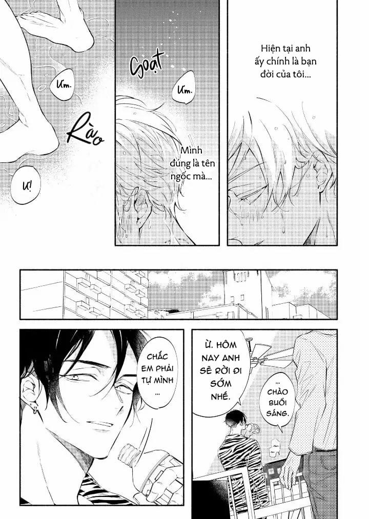 Ly Hôn Đi, Ngài Alpha! 1 trang 6