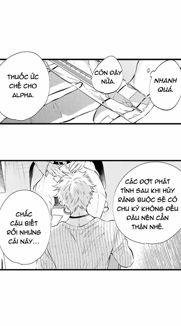 Ly Hôn Đi, Ngài Alpha! 11 trang 16