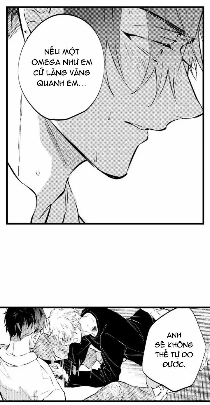 Ly Hôn Đi, Ngài Alpha! 15 trang 1