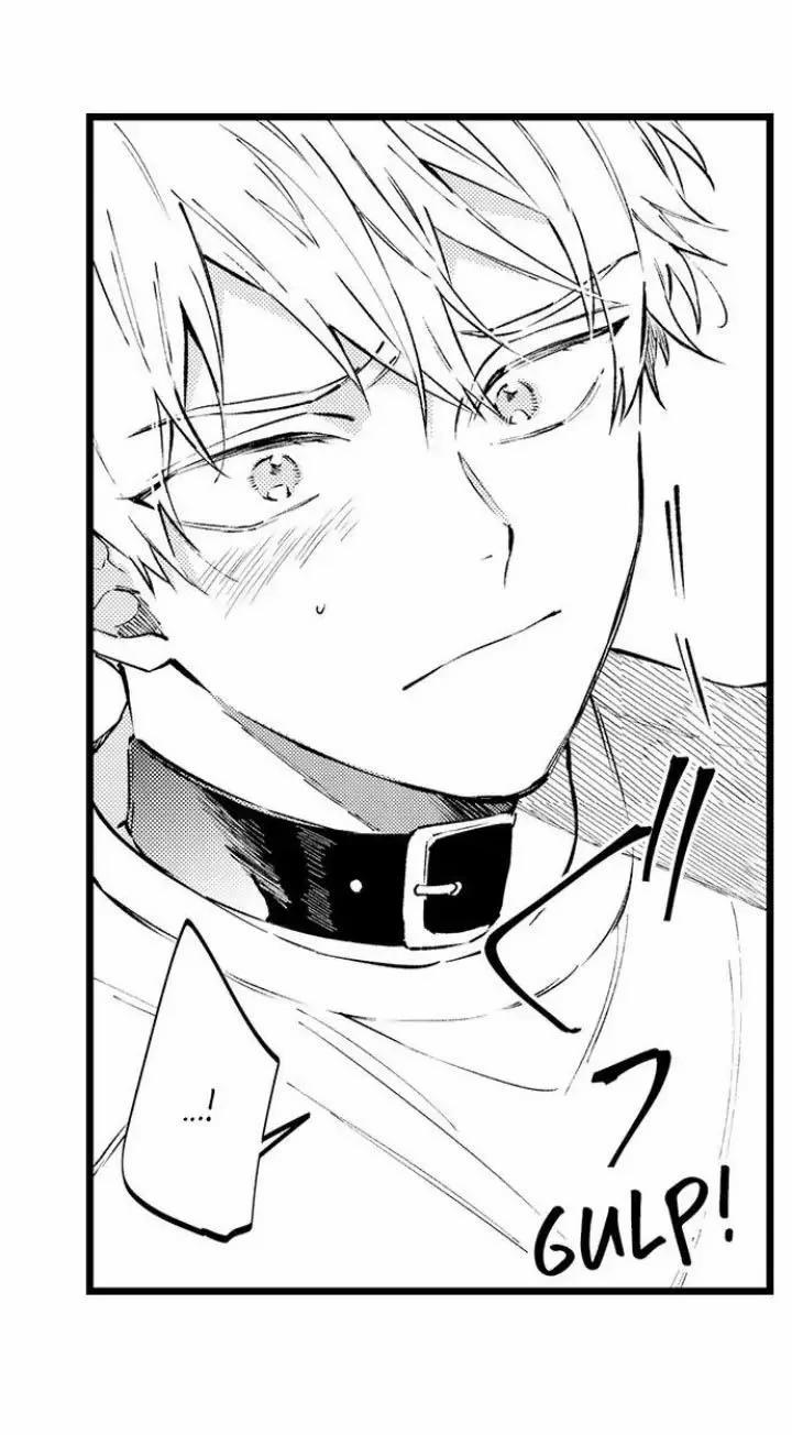 Ly Hôn Đi, Ngài Alpha! 9 trang 10