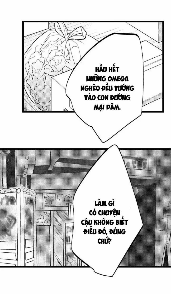 Ly Hôn Đi, Ngài Alpha! 9 trang 8