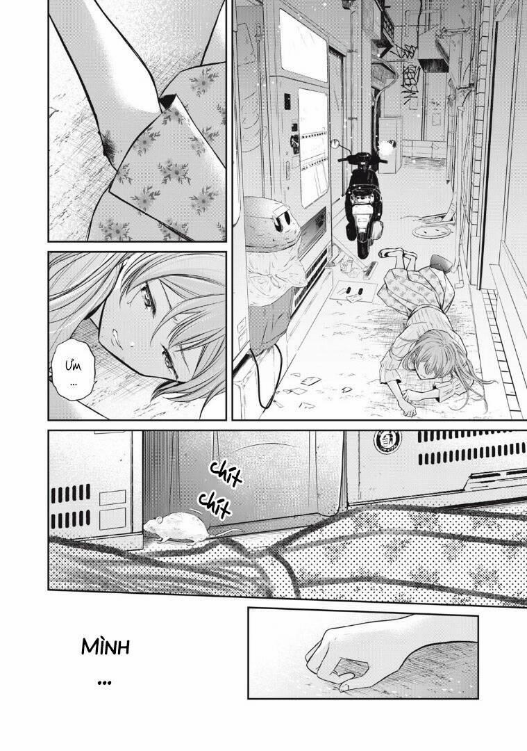 Madonna Lily 4 trang 17