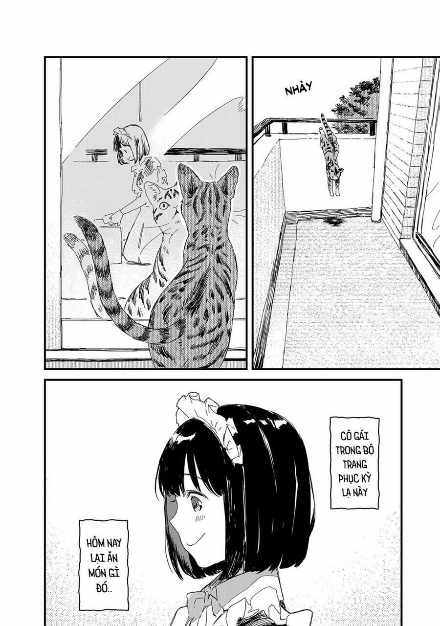 Maid-San Wa Taberu Dake 25 trang 0