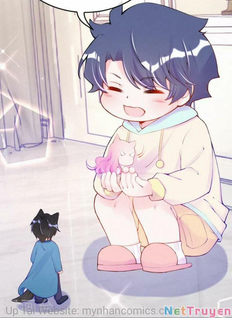 Mami Đột Kích, Thiên Tài Manh Bảo Khốc Daddy 102.1 trang 12