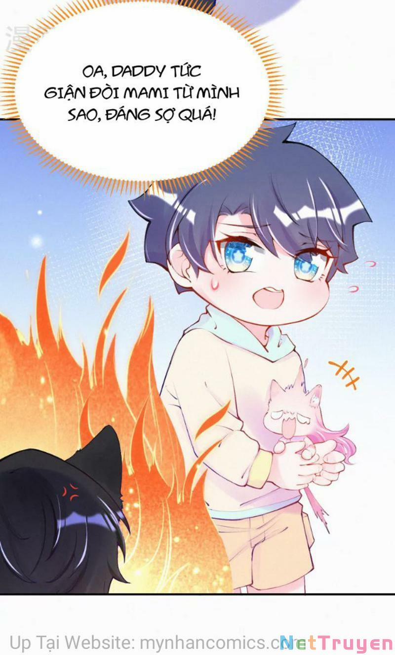 Mami Đột Kích, Thiên Tài Manh Bảo Khốc Daddy 102.1 trang 14