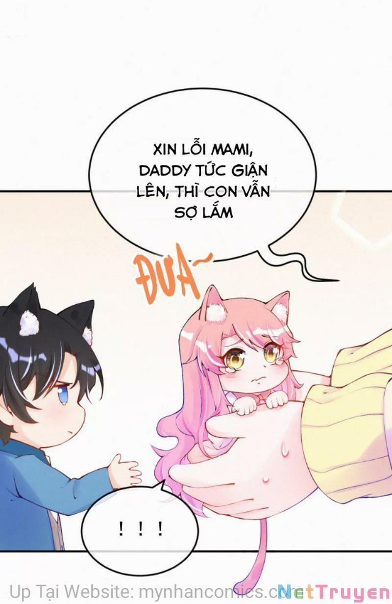 Mami Đột Kích, Thiên Tài Manh Bảo Khốc Daddy 102.1 trang 15