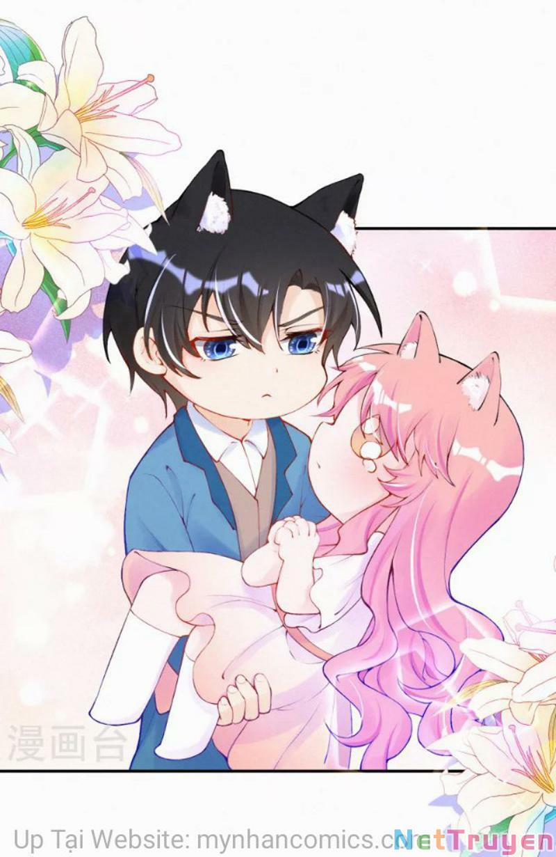 Mami Đột Kích, Thiên Tài Manh Bảo Khốc Daddy 102.1 trang 16