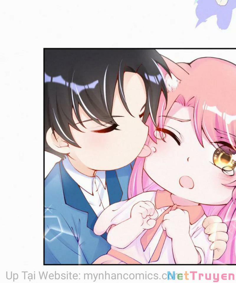 Mami Đột Kích, Thiên Tài Manh Bảo Khốc Daddy 102.1 trang 17
