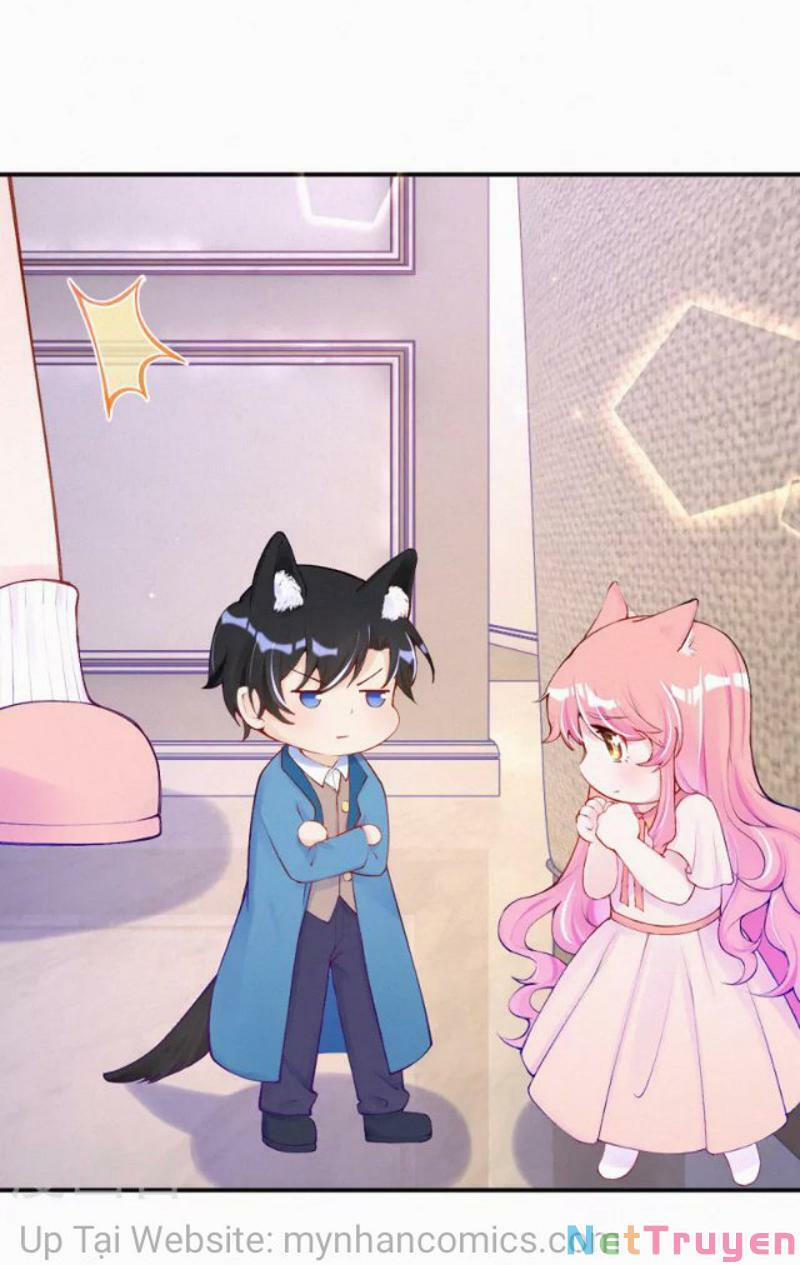 Mami Đột Kích, Thiên Tài Manh Bảo Khốc Daddy 102.1 trang 5