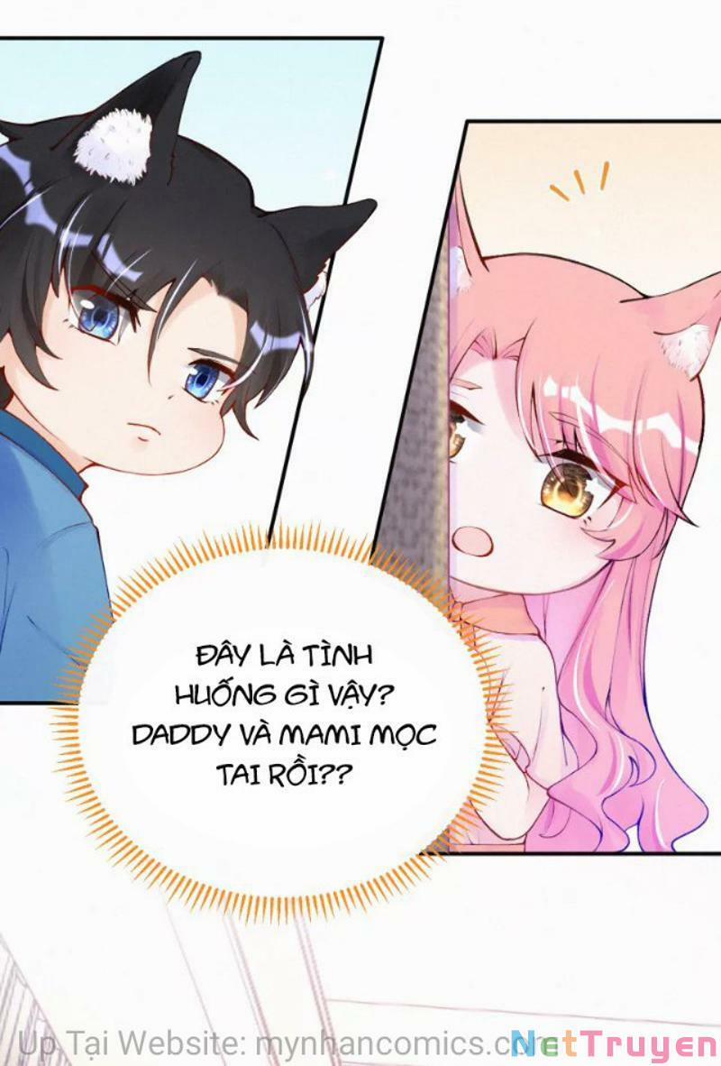 Mami Đột Kích, Thiên Tài Manh Bảo Khốc Daddy 102.1 trang 6
